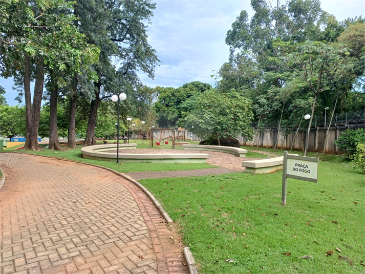 Foto REO1066790