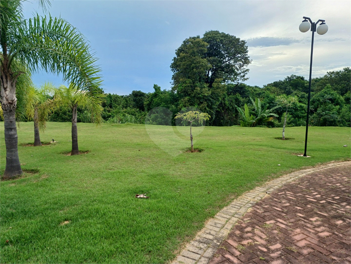 Foto REO1066790