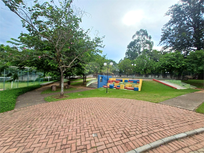 Foto REO1066790