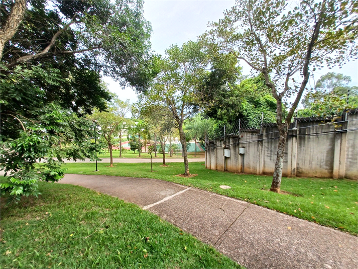 Foto REO1066790