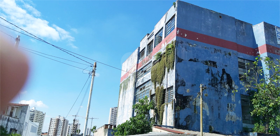 Venda Prédio inteiro São Paulo Vila Lúcia REO1066791 13