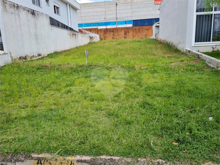 Foto REO1066824