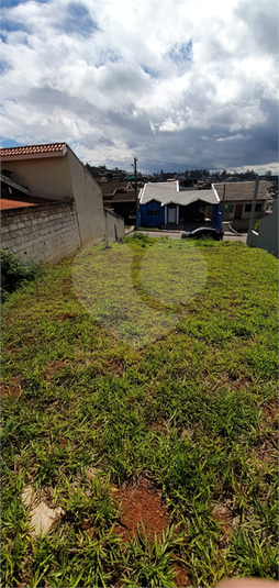 Foto REO1066860