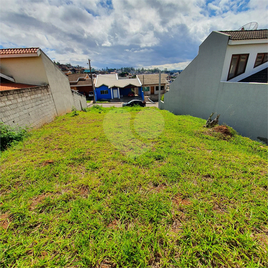 Foto REO1066860