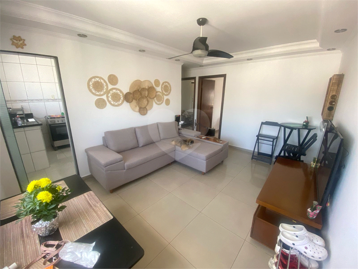 Foto REO1066862