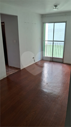Foto REO1066886
