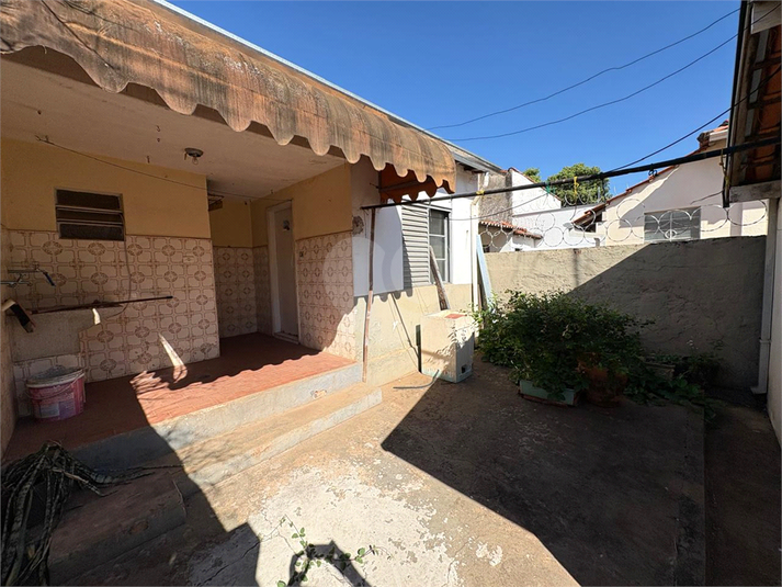 Foto REO1066930