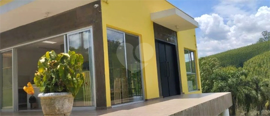 Foto REO1066934