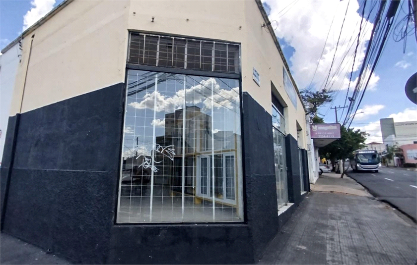 Foto REO1066935