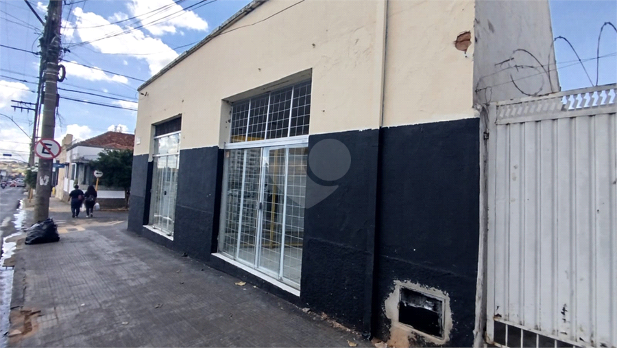 Foto REO1066935
