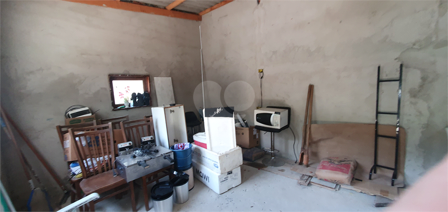 Foto REO1066940