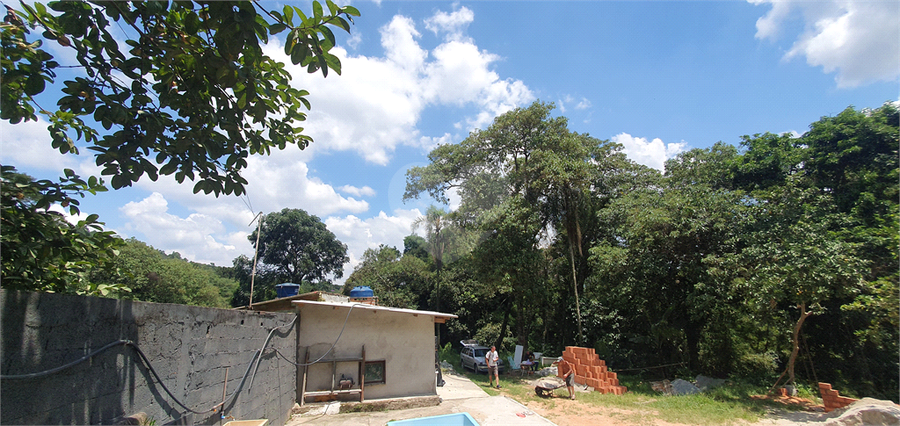 Foto REO1066940