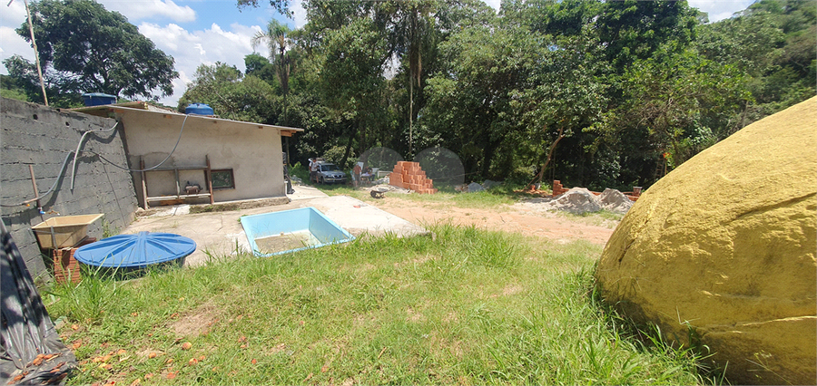 Foto REO1066940