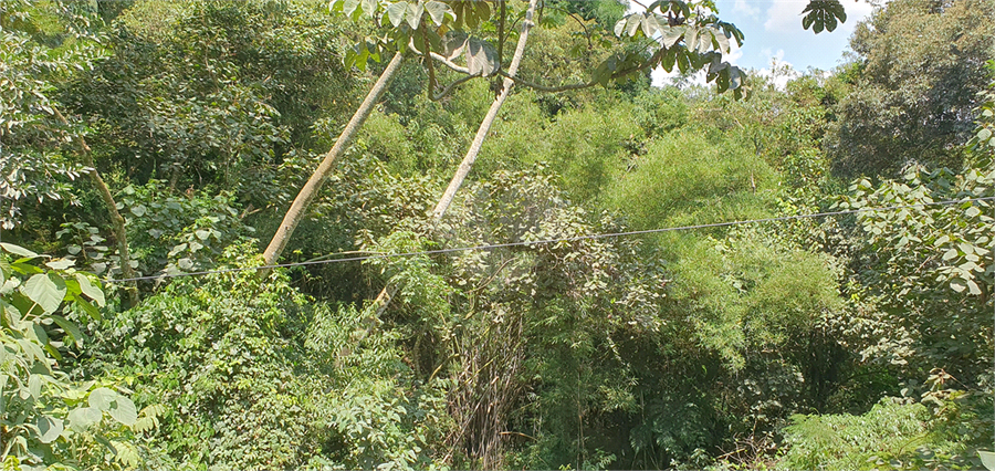 Foto REO1066940