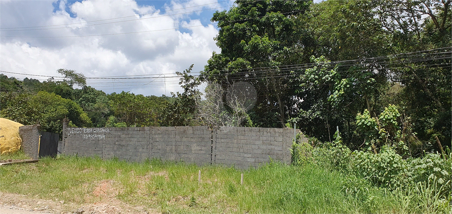Foto REO1066940