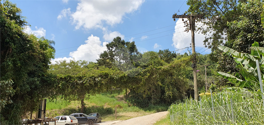 Foto REO1066940