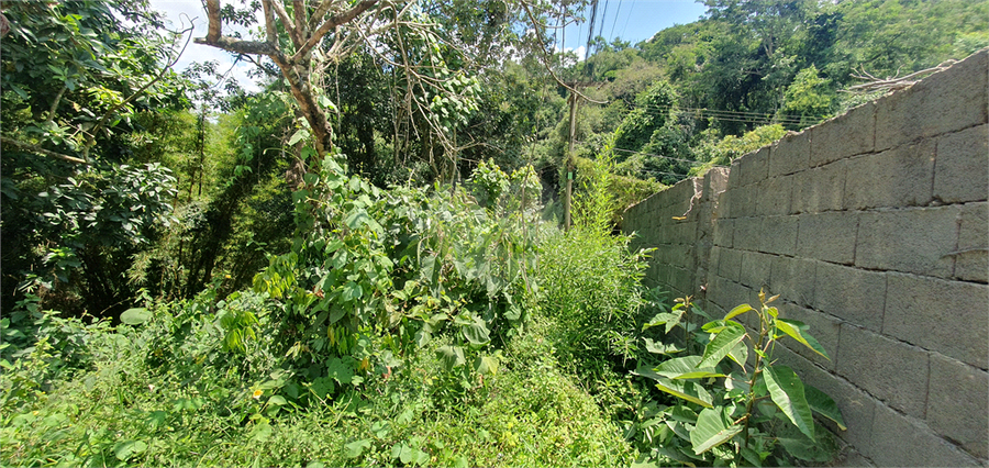 Foto REO1066940