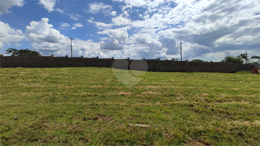 Foto REO1066968