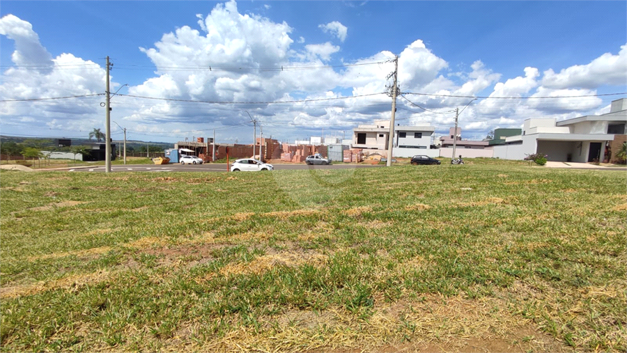 Foto REO1066968