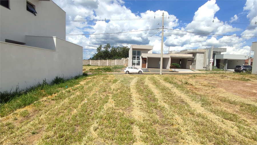 Foto REO1067010