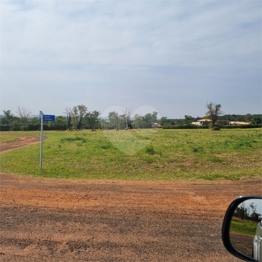 Foto REO1067025
