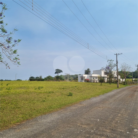 Foto REO1067025