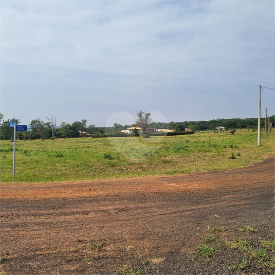 Foto REO1067025