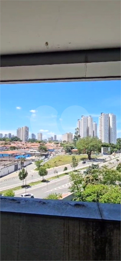 Foto REO1067037