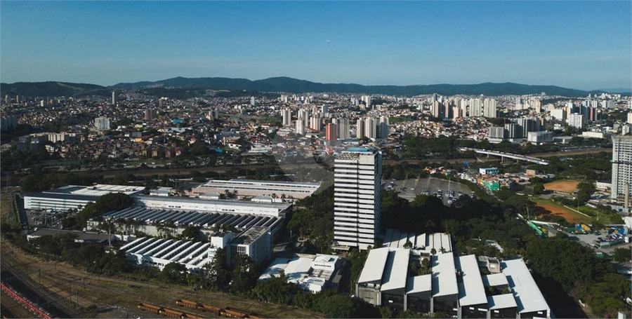 Foto REO1067039