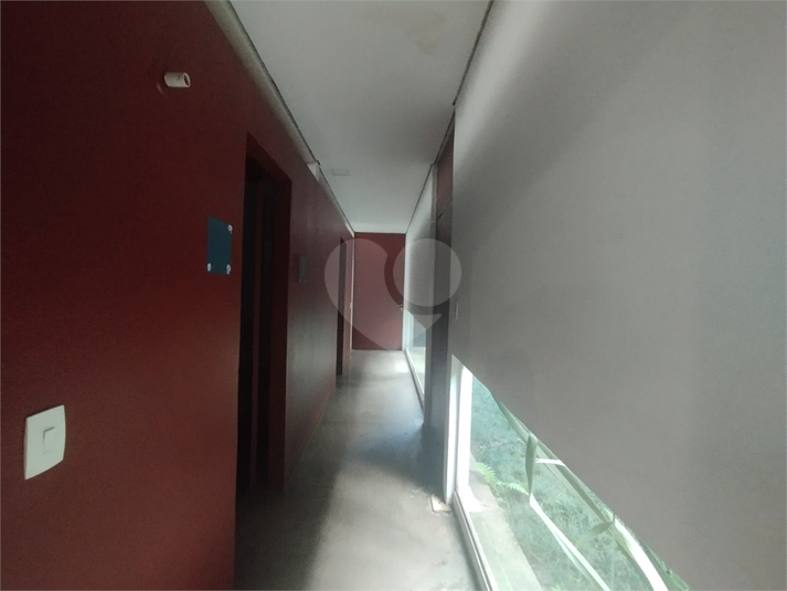Foto REO1067066