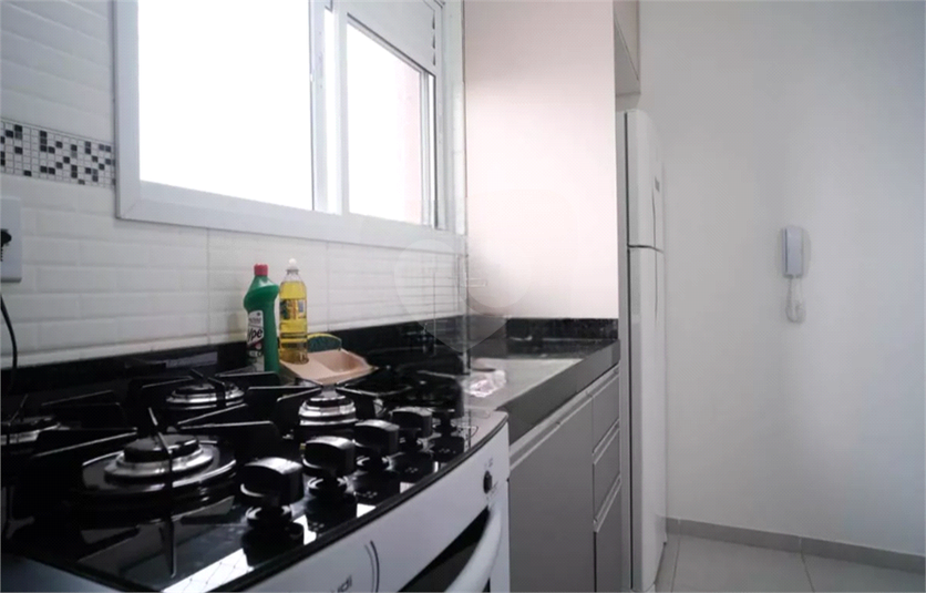 Aluguel Apartamento São Paulo Parque Das Paineiras REO1067136 8