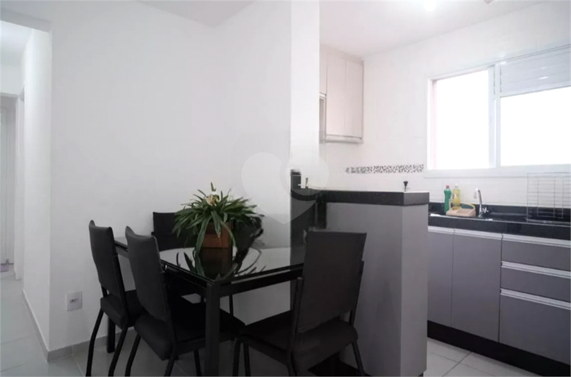 Aluguel Apartamento São Paulo Parque Das Paineiras REO1067136 5