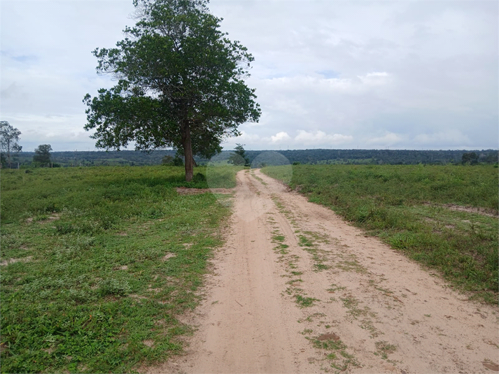 Foto REO1067139