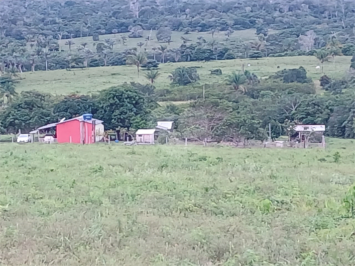 Foto REO1067139