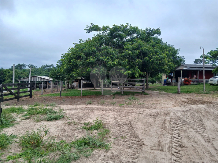 Foto REO1067139