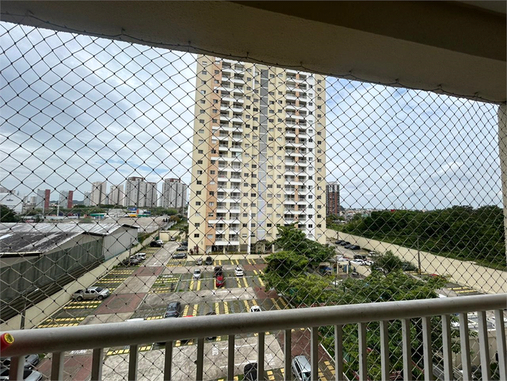 Foto REO1067168