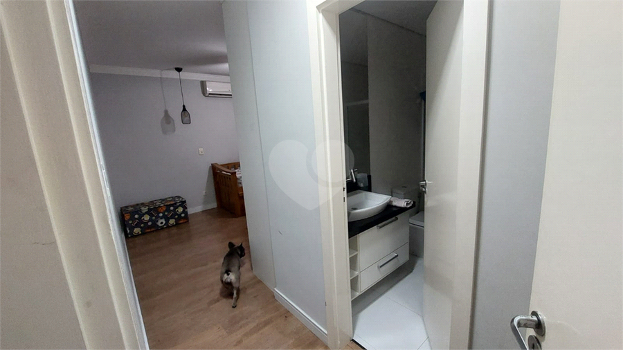 Foto REO1067205