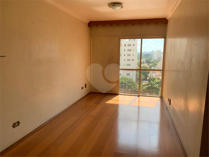 Foto REO1067266