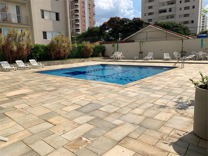 Foto REO1067266
