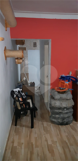 Foto REO1067284