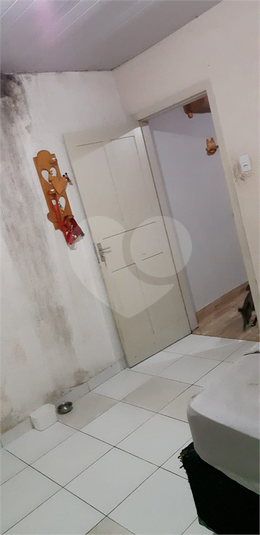 Foto REO1067284