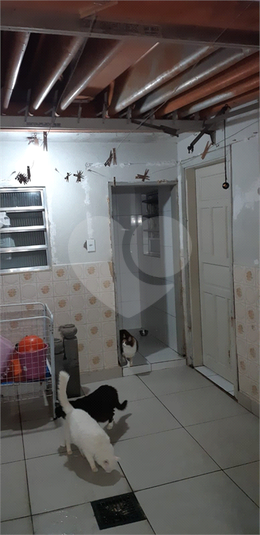 Foto REO1067284