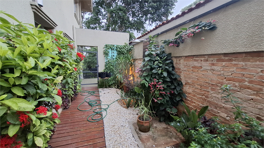 Foto REO1067286