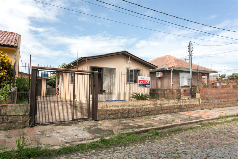 Foto REO1067306