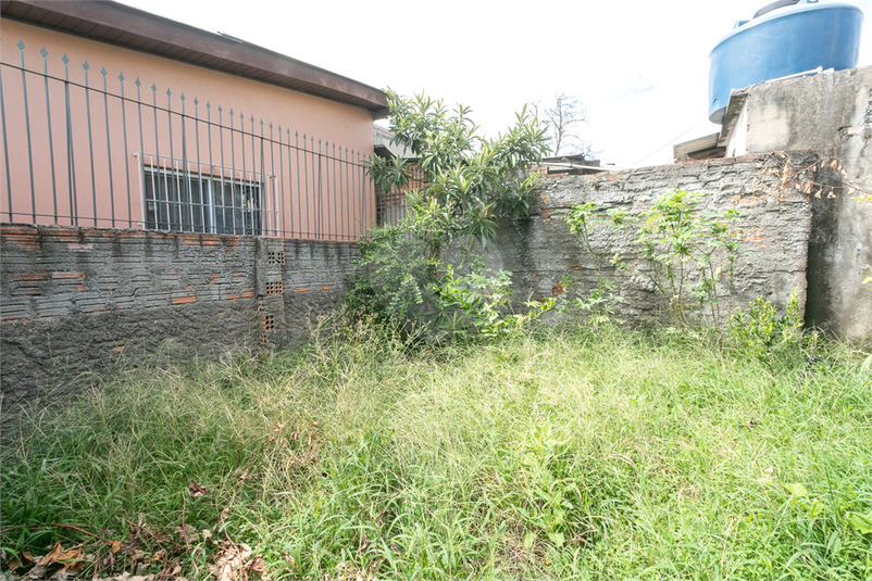 Foto REO1067306