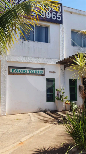 Foto REO1067330