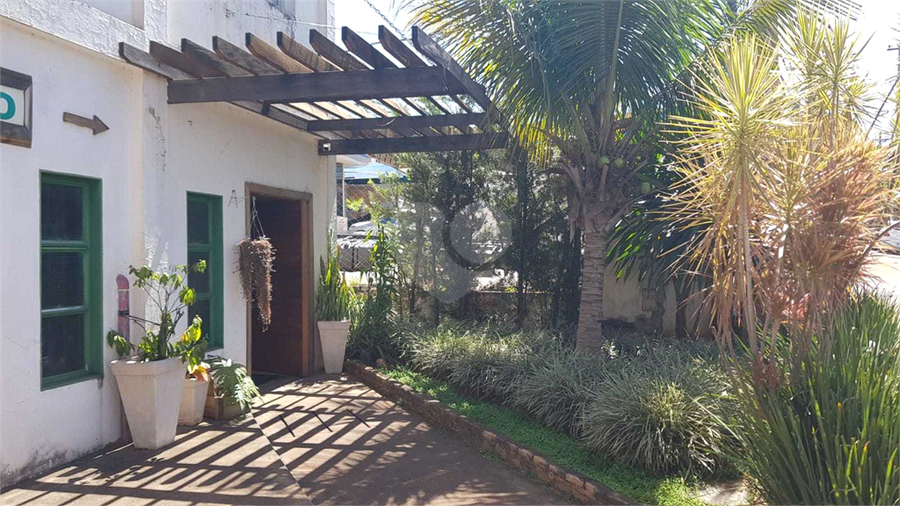 Foto REO1067330