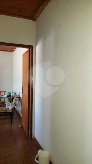 Foto REO1067330