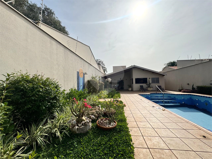 Foto REO1067331