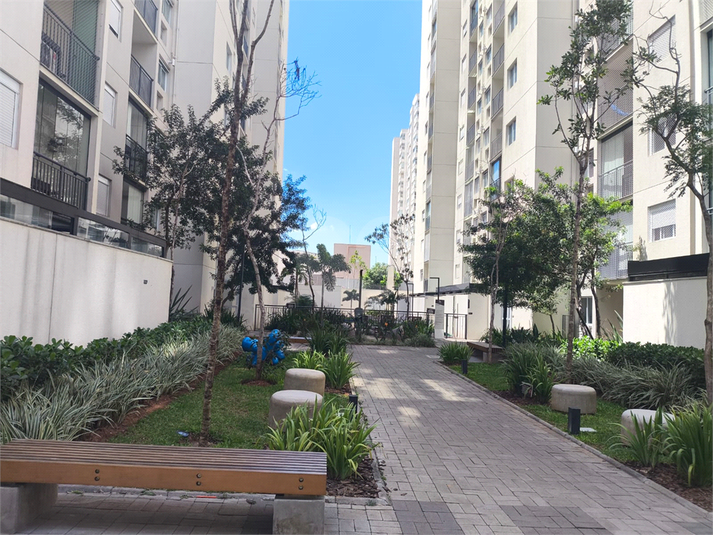 Venda Apartamento São Paulo Vila Guilherme REO1067343 9